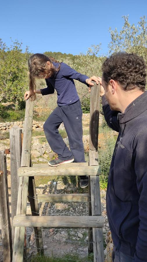 Villa Ideal Sóller Zewnętrze zdjęcie